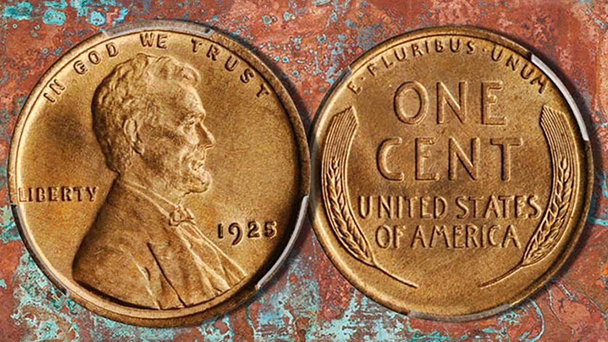 1925 wheat penny mintage comparison showing Philadelphia, Denver, and San Francisco examples side by side